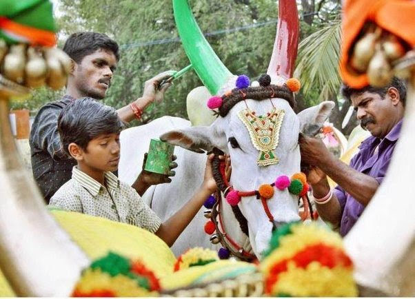 Maa intlo Sankranthi